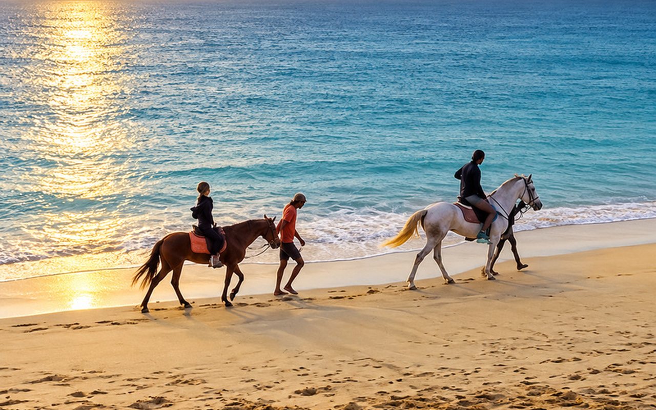 Balade à cheval sur la plage au coucher du soleil